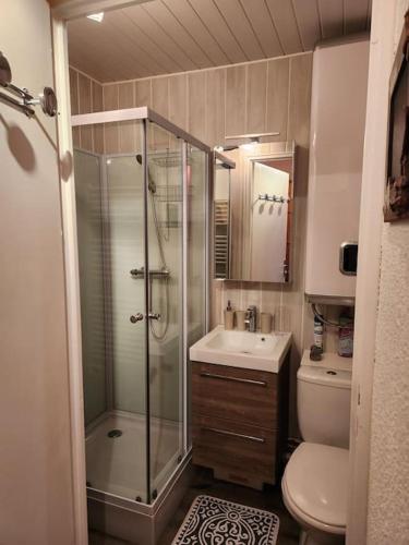 une salle de bain avec une douche, un lavabo et des toilettes dans l'établissement Charmant Studio La Toussuire, à La Toussuire