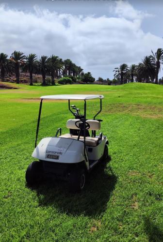 a golf cart parked in a field of grass at Villa Tenik in Teguise