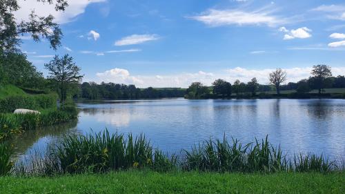 a large lake with grass and trees in the background at Le Coeur Du Moulin in Saint-Aubin-le-Monial