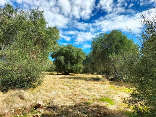 Φυσικό τοπίο κοντά σε αυτό το κατάλυμα σε φάρμα