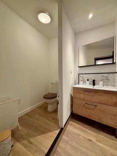 une salle de bain avec toilettes, lavabo et miroir dans l'établissement Le Petit Hainaut, hyper centre, à Valenciennes