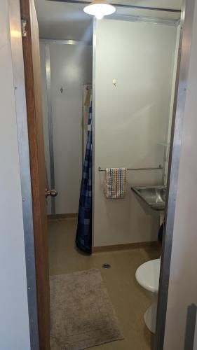 Un baño con lavabo, inodoro y espejo. en Widgiemooltha Caravan Park, en Widgiemooltha