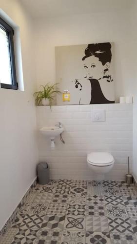 une salle de bain avec des toilettes blanches et un lavabo dans l'établissement Le Pti'Fernin, Gîte de Sologne, à Saint-Viâtre