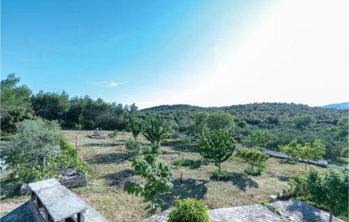 a garden with trees and bushes in a field at Pet Friendly Home In Cara in Zavalatica