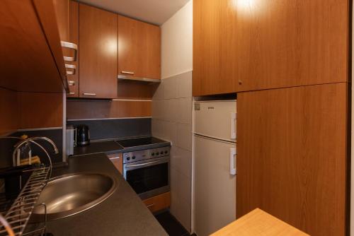 a kitchen with wooden cabinets and a sink and a refrigerator at Central Park Apartments in Belgrade