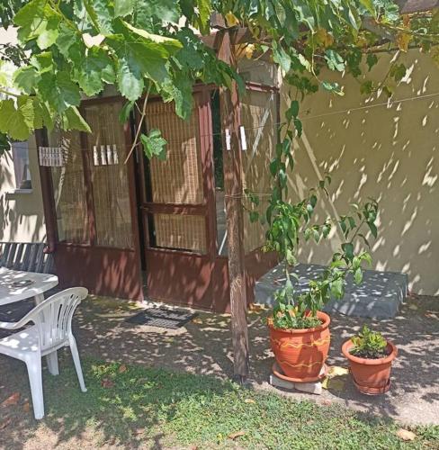 a patio with a table and two potted plants at Γκαρσονιέρα κοντά στο πανεπιστήμιο, περ κόμβος ΤΕΙ in Kozani
