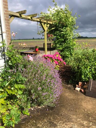 a garden with flowers and a wooden pergola at Appartement in schuur in Twisk
