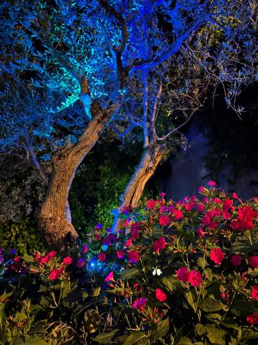 Gallery image of Relais 5 Sensi WELLNESS & SPA in Bagnoli Irpino