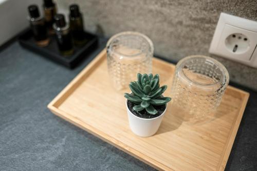 a cactus sitting on a wooden tray with two glasses at Hotel Gasthof Brüggler in Radstadt