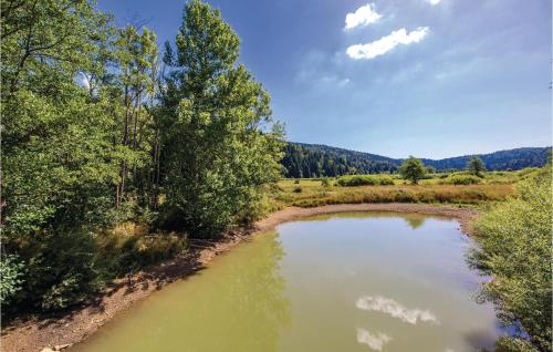 a river with green water and trees in a field at Two-Bedroom Apartment In Ogulin in Jasenak