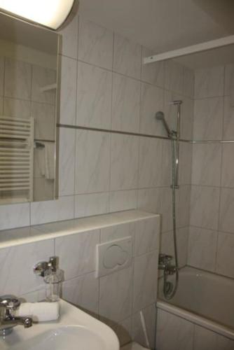 Executive 1BD flat in city center - Hösch 3