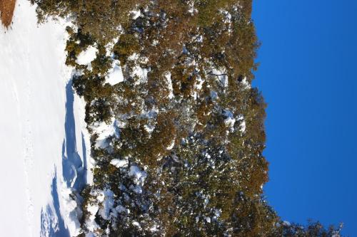 Gite Aoujgal en invierno