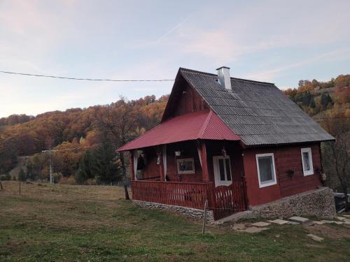 a red house with a black roof in a field at La căsuță in Avram Iancu