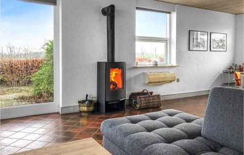 a living room with a couch and a fireplace at 3 Bedroom Beautiful Home In Hejls in Hejls