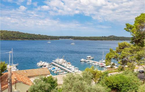 Nice Apartment In Mali Losinj With Wifi