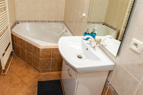 a bathroom with a sink and a bath tub at Belvederská chalupa in Železná Ruda