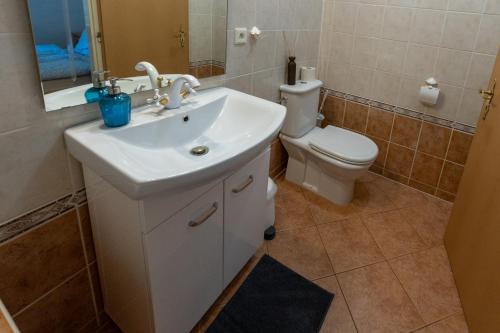 a bathroom with a white sink and a toilet at Belvederská chalupa in Železná Ruda