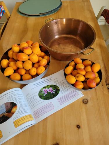 Mad i feriehuset eller i nærheden