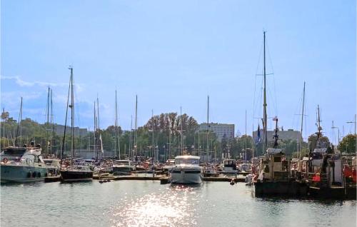 Lovely Apartment In Gdynia With Wifi