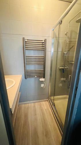 une salle de bain avec douche et lavabo dans l'établissement Bel appartement 50 m télécabines 200 m village, à Cauterets