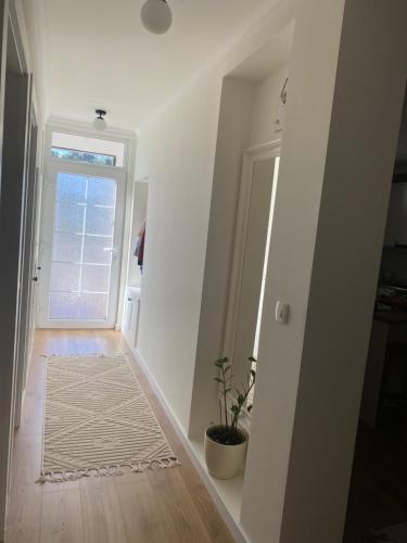 Virtuo Apartment