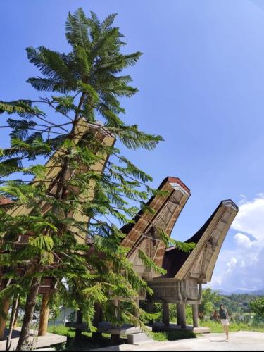a person standing next to a palm tree next to a monument at NUANSA HOMESTAY Authentic&Hospitality in Rantepao