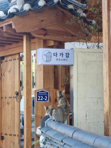 two cats sitting next to a sign in a building at 경주 황리단길 한옥스테이 다가감 in Gyeongju