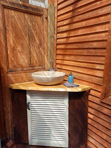 a bathroom with a sink on a wooden wall at The Farmhouse Palm Tree Cabin in Stellenbosch