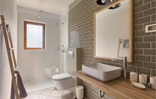 a bathroom with a sink and a toilet and a mirror at Villa Brih Iii in Motovun