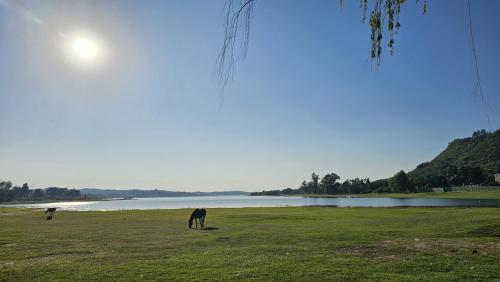 two horses grazing in a field next to a lake at El paraiso in Villa del Dique