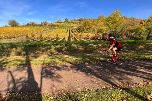 a man riding a bike down a dirt road at Ô Jardin Secret in Oberschaeffolsheim