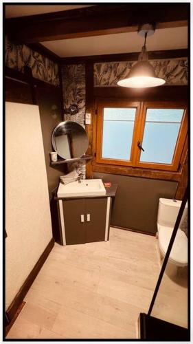 a bathroom with a sink and a toilet and a window at Ô Jardin Secret in Oberschaeffolsheim