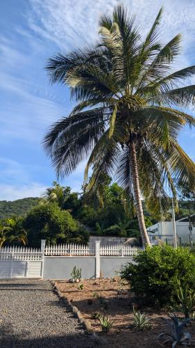 a palm tree in front of a white fence at Enjoy Studio in Pointe-Noire