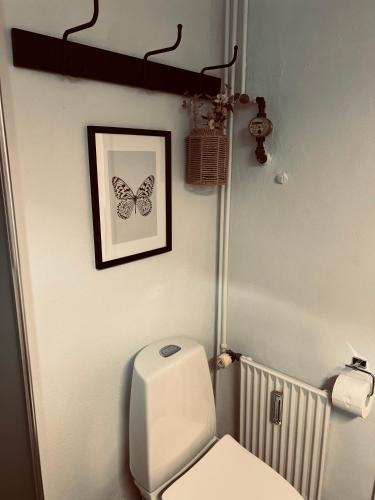 a bathroom with a toilet and a picture of a butterfly at Cozy Flats Silkeborg - S2 in Silkeborg