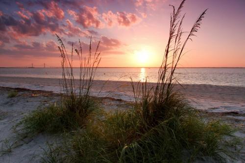 a sunset on the beach with grass in the sand at Mariners Getaway in Saint Simon Mills
