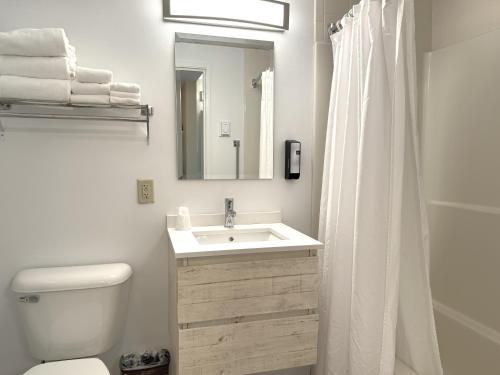 a bathroom with a sink and a toilet and a mirror at Atlantic Eyrie Lodge in Bar Harbor