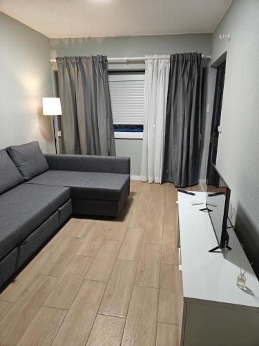 a living room with a couch and a television at Lagoon House in Santiago do Cacém