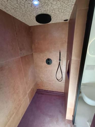 une salle de bain avec douche et toilettes dans l'établissement La casita, maison individuelle avec jacuzzi, à Falck