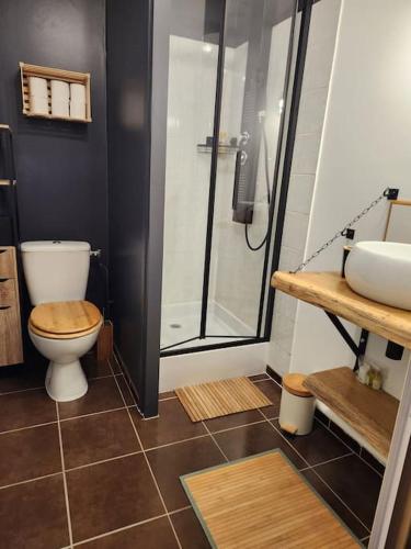 une salle de bain avec toilettes, douche et lavabo dans l'établissement Studio pistes La Bresse Hohneck, à La Bresse