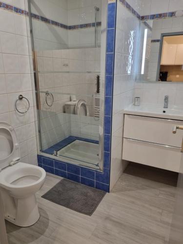 une salle de bain avec une douche, des toilettes et un lavabo dans l'établissement Appartement f2 au bord de mer, à Saint-Raphaël