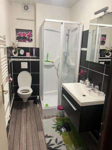 une salle de bain avec une douche, des toilettes et un lavabo dans l'établissement GERARDMER Rés Aubépine 100m du lac Appt 4 personnes, à Gérardmer