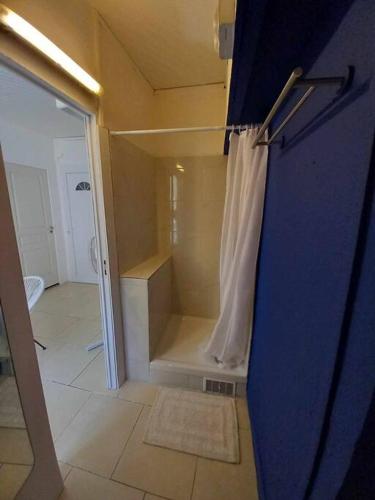 La salle de bains est pourvue d'une douche à l'italienne avec rideau de douche. dans l'établissement Appart Distillerie, à Narbonne