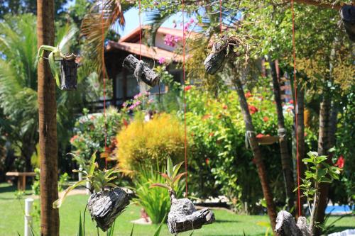 a garden with some shoes hanging from a tree at Village Muta in Porto Seguro