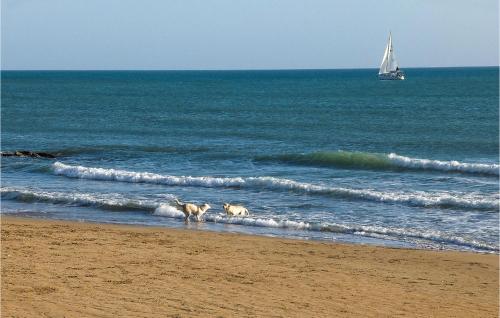 two dogs walking in the water on the beach at 2 Bedroom Gorgeous Home In Scicli in Scicli