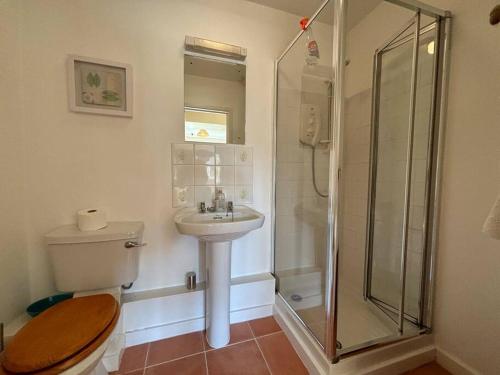 a bathroom with a shower and a toilet and a sink at West Down in Glastonbury