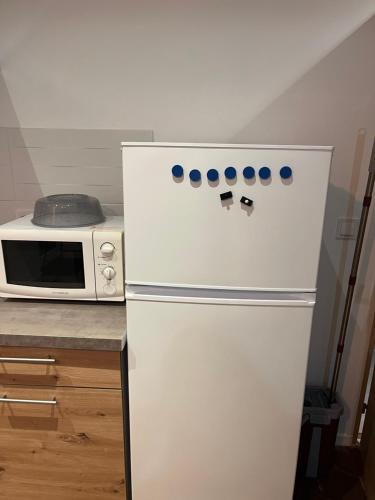 a white refrigerator in a kitchen with a microwave at La Petite Bourgeoise in Croisilles
