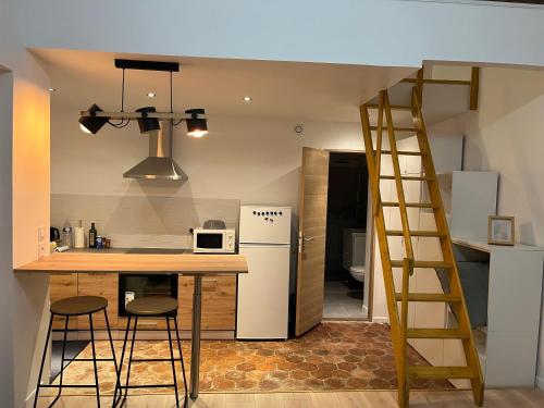 a kitchen with a counter and a refrigerator and a ladder at La Petite Bourgeoise in Croisilles