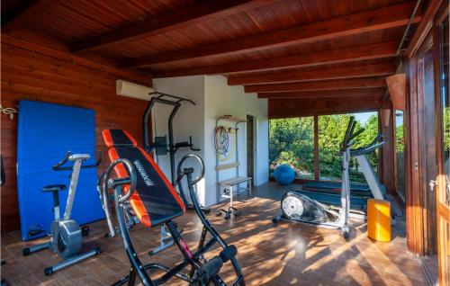 a gym with several exercise equipment in a room at Amazing Home In San Giovanni in Montefiore dellʼAso