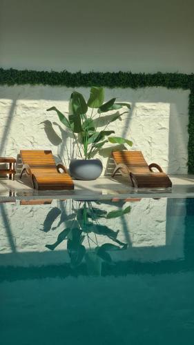 two chairs and a potted plant sitting next to a swimming pool at Royal Kate Apartments Spa included 30th floor in Skopje