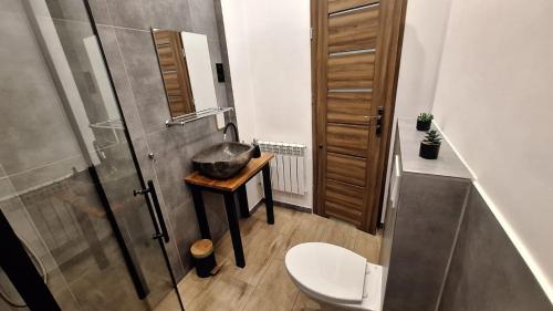a bathroom with a sink and a toilet and a shower at Apartamenty Droga na Śnieżkę in Karpacz